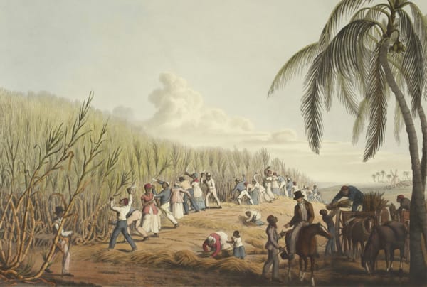 Exploitation coloniale britannique